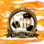 Football Vip Betting Tips apk icon