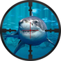 Underwater Shark Sniper Hunter apk icon