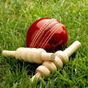 Cricket World Cup : Play & Win APK Simgesi