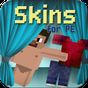 Ikona Skins for Minecraft Pocket Ed.