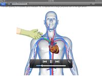 Physiology Learning Pro Bild 