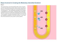 Physiology Learning Pro image 3