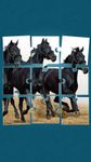 Horses Jigsaw Puzzle Game image 