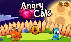 Картинка 12 Angry Cats