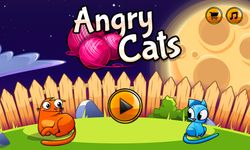 Angry Cats obrazek 5