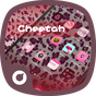 Beautiful Cheetah-Solo Theme APK