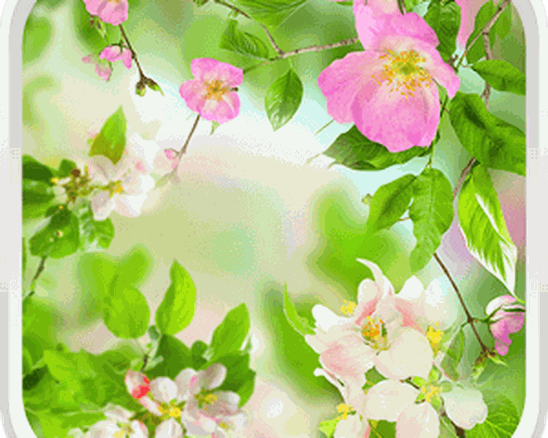 Gentle Flowers Live Wallpaper Android Free Download Gentle