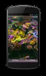 Aquarium Video Live Wallpaper imgesi 