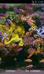 Aquarium Video Live Wallpaper imgesi 2