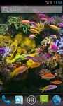 Aquarium Video Live Wallpaper imgesi 3