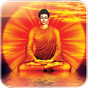 Biểu tượng apk Kinh Phật Online