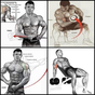 Bodybuilding muscle training tutorial APK