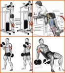 Картинка  бодибилдинг мышцы тренировки
