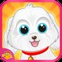 APK-иконка Kitty & Puppy Pet Vet