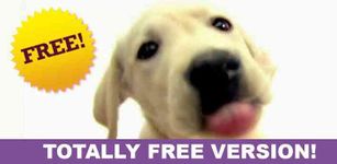 DOG SCREEN CLEANER LWP FREE image 3