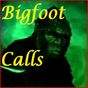 Ícone do apk Bigfoot Call Sounds