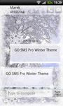 Winter Theme for GO SMS Pro image 3