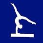 Ícone do apk Gymnastics Guide