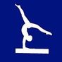 Gymnastics Guide apk icon