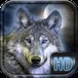 Loup Fond d'écran Animé APK