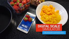 IQ Digital scale simulator 图像 11