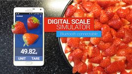 Gambar IQ Digital scale simulator 