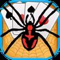 Spider Solitaire apk icon