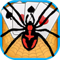 APK-иконка Spider Solitaire