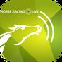 Horse Racing Live TV - Racing Television APK