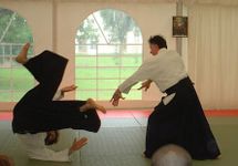 Aikido training image 10
