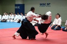 Aikido training image 14