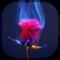 APK-иконка Прекрасная роза живые обои