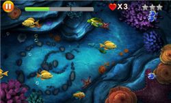 Screenshot  di Fish Eat apk