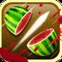 Biểu tượng apk Fruit Hit