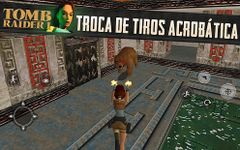 Tomb Raider I image 