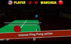 Gerçek Ping Pong 3D imgesi 11