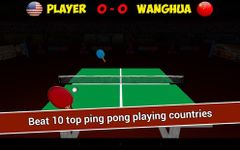 Gerçek Ping Pong 3D imgesi 3
