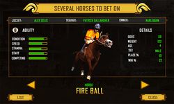 Gambar Virtual Horse Racing Champion 9