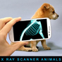 Escáner de Xray Animales broma APK