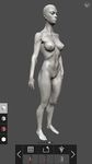 MARA3D Female Anatomy image 1