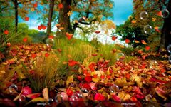 Autumn Live Wallpaper image 5