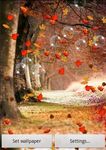 Immagine 7 di Autunno Live Wallpaper Gratis