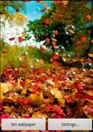 Autumn Live Wallpaper image 8