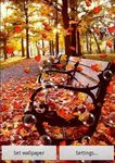 Autumn Live Wallpaper image 1