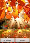 Autumn Live Wallpaper image 3