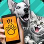 Animal Translator. Simulator APK