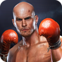 Boxing Fight - Real Fist APK Icon