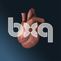 bodyxq heart apk icon