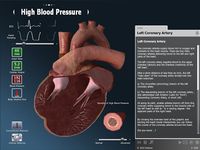 bodyxq heart image 10