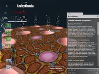 bodyxq heart image 11